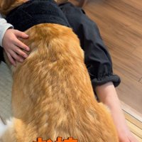 ジッさん、大反省