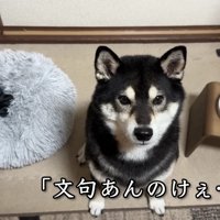 オスワリで説教拝聴