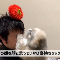 てんぽさんにおもちゃが届いたら7