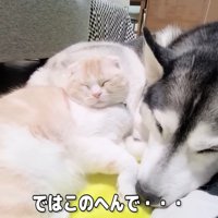 愛に溢れた光景にほっこり♡