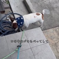 口の中のものを出すバディくん