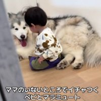 イチャイチャする2人の姿が…