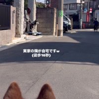 友達犬も見守ります