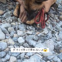 どうしても持って帰りたいようです