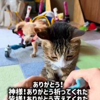 感謝する飼い主さん