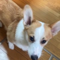 赤ちゃんを見守るまる君6