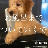 洗ったら素敵な姿に♡