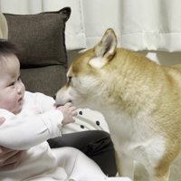 徐々に落ち着いてきたみたい…