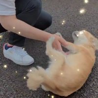 ストレートな愛情表現に涙…