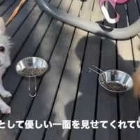 お姉ちゃんになったよ