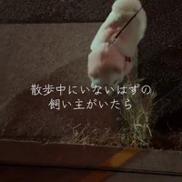 飼い主さんに近付いてきて…