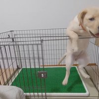 出られることに全然気づきません（笑）