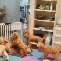 様子を覗いてみたら…