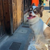すごく楽しい瞬間もある♪