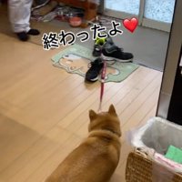 心温まるワンシーンでした