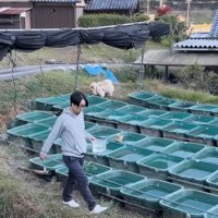 作業を見守りながら冒険♪