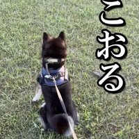 あいつが出てくるまでは