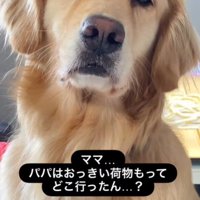 エマちゃんとパパさんの再会