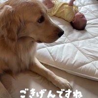 サニーくん、ひと安心。