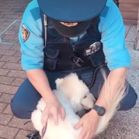大好きな気持ちがあふれる