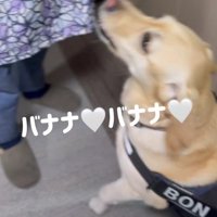 お礼の品は？？