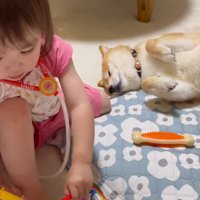 なすがままのすずちゃん