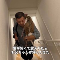 雷が鳴った時のきびちゃん