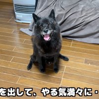 実家に行こうとしたら笑顔に♪