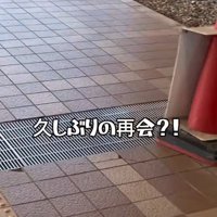 4日ぶりに再会