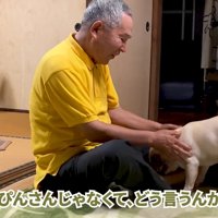 帽子姿を褒めながらナデナデ…