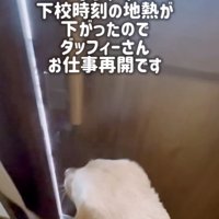 再会！下校パトロール