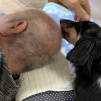寝転がる祖父と犬