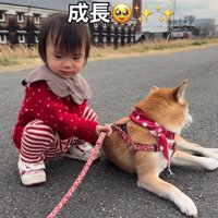 女の子と柴犬
