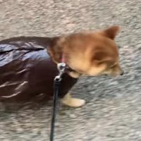 ちょっぴり不満…？