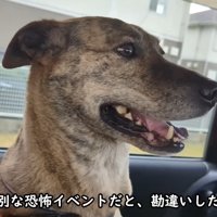 「怖いよ！助けて～」