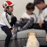 犬の後ろ姿2