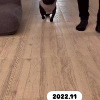 パパを見るあずきちゃん