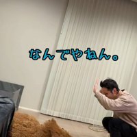 「これだよね！？」