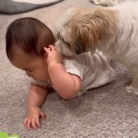 赤ちゃんが大好きなピコちゃん5