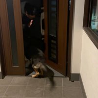 パパさんが帰ってきたら…