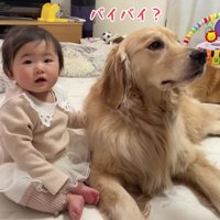 「え！？バイバイ！？」