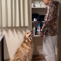 飼い主さんの前に座るイヴちゃん