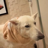 れお君の表情の変化2