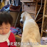 洗濯物泥棒が2人に！