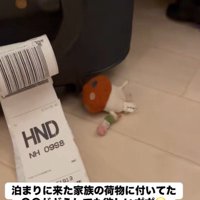 そこにはドコモダケが…！