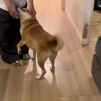 お姉ちゃんを熱烈歓迎するけいちゃん9