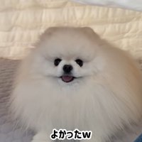 やっと入れて笑顔に♪