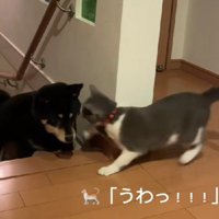 豪快なパンチ！！