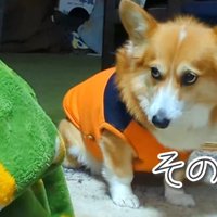 ディス子さんをチラ見