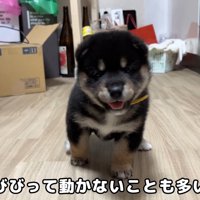 ニコニコ♪